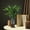 Grey, variant on Clearance! Uscallm Glass Vase with Bark Pattern, Wooden Base Cylindrical Flower Vase, Wood & Glass Arting, Classic Bohemian Style for Kitchen, Living Room, Fireplace, Centerpieces, Vintage Home Decor