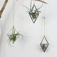 thumbnail image 2 of Hanging Air Plants Holder Rustic Wall Mount Irregular Geometric Metal Rack Accent Decor Rose Gold ( No Plants ), 2 of 6