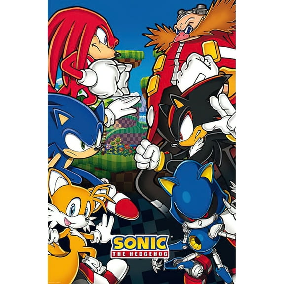 Sonic The Hedgehog - TV Show / Gaming Poster (Good vs. Evil) (Size: 24" x 36")