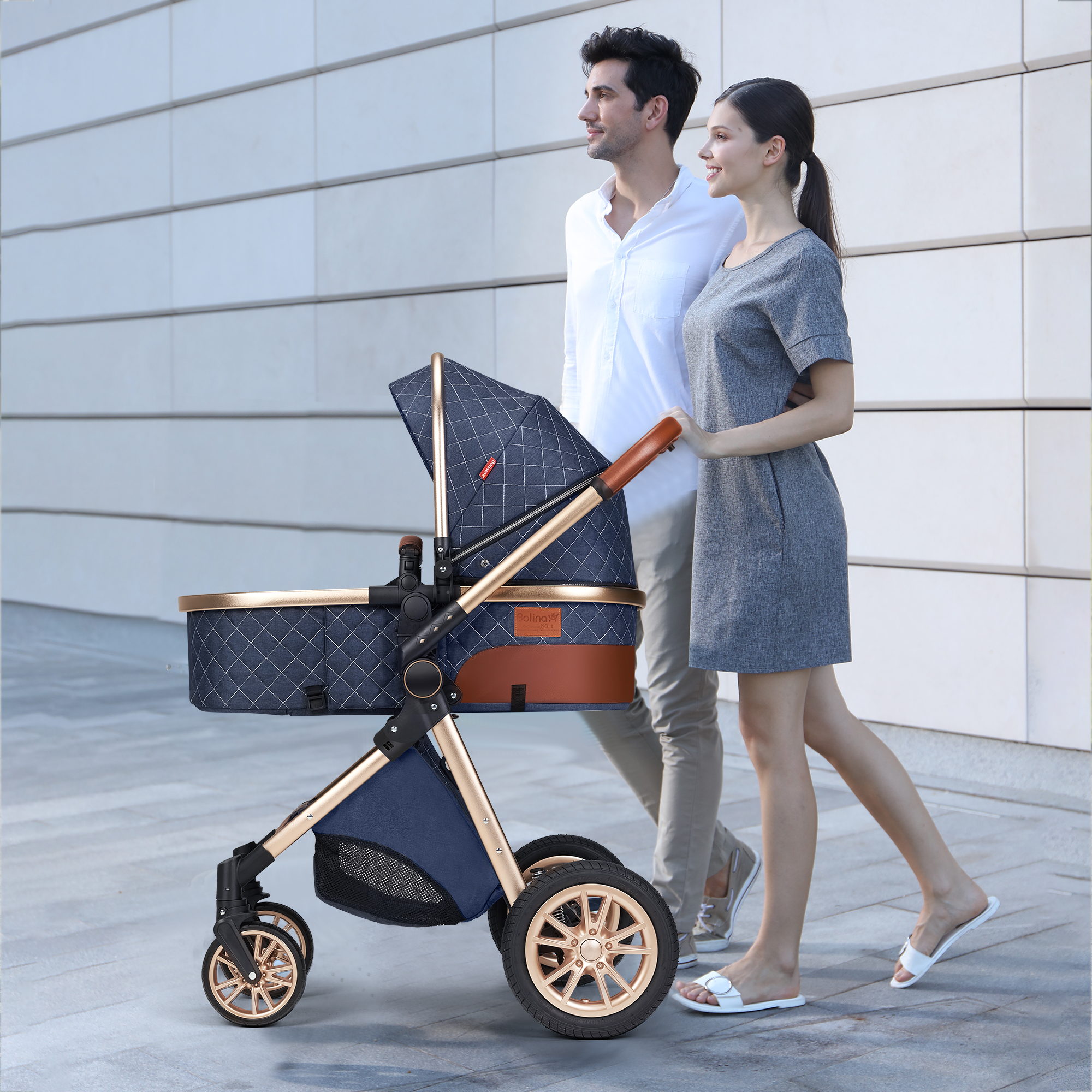 PASSING LOVE High Landscape Infant Baby Stroller Folding Aluminum Kids Carriage Big Sleeping Basket,Blue - image 2 of 13