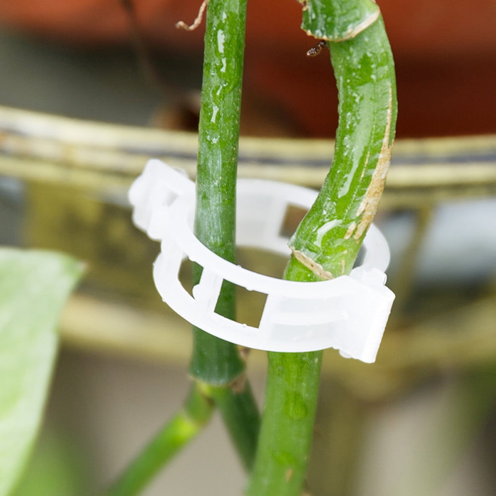 x100 Plant Vine Tomato Stem Clips Supports Connect Trellis Twine Cages Flowers ~ 