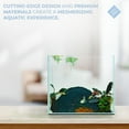 thumbnail image 6 of Aqua Worx 1 Gallon Rimless Tank - 6.29 x 6.29 x 6.29 inches Fish Tank - Cube Style Rimless Fish Tank - Clear Glass Cube Aquarium - Space Saving 1 Gallon Fish Tank - Durable Rimless Aquarium, 6 of 7