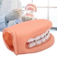 thumbnail image 1 of Modelo De Cuidado De Los Dientes, Marioneta De Mano Educativa Duradera Para La Enseñanza De Niños, 1 of 7
