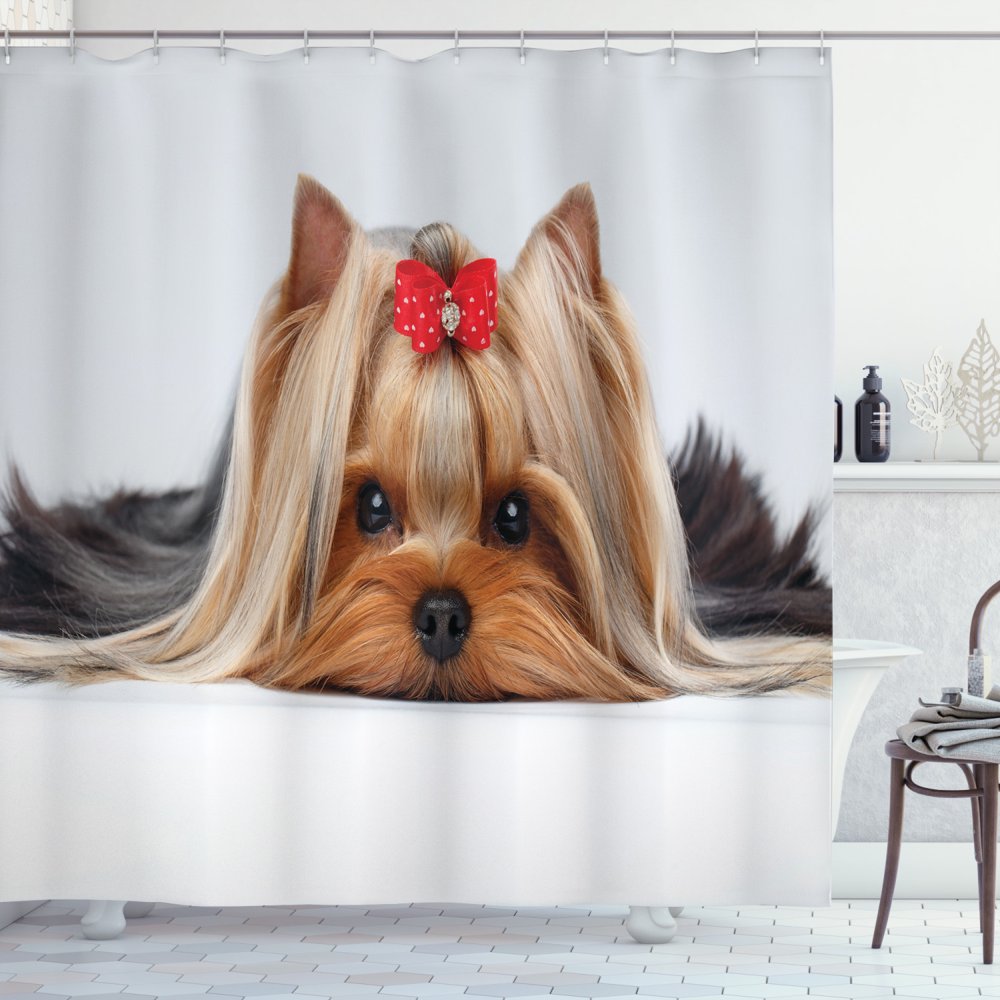 Yorkie Shower Curtain, Lying Yorkshire Terrier with Cute Ribbon Yorkie
