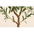 thumbnail image 4 of Faitaliicy Artificial Olive Tree Tall Faux Silk Olive Trees Indoor Fake Potted Tree With Natural Wood Trunk And Lifelike Leaves And Fruits Large Olive Tree Plants For Home Office Decor, 4 of 8