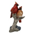 thumbnail image 5 of Northern Male and Female Red Cardinal Birds Perching On Tree Branch Figurine, 5 of 9