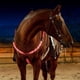 thumbnail image 4 of Coraza Collar Brida Halter Tack LED Sharpla rojo, 4 of 6
