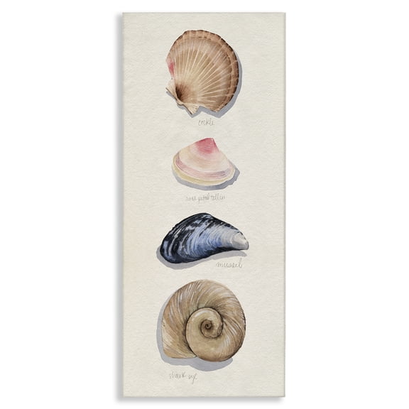 Stupell Industries Coastal Traditional Nautical Sea Shells Canvas Art, 10 x 24, by Grace Popp