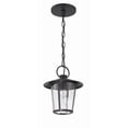 thumbnail image 5 of Crystorama Andover 1 Light Matte Black Outdoor Chandelier - 9"W x 11"H, 5 of 8