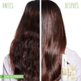 thumbnail image 4 of Biolage Shampoo SmoothProofe | Limpia, Suaviza y Controla el Encrespamiento | Para Cabello Encrespado | Vegano | 1L, 4 of 4