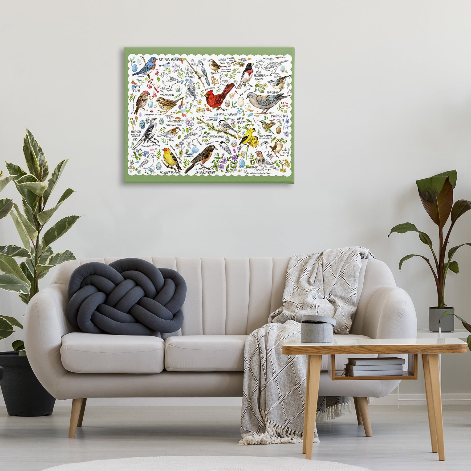 Stupell Industries Various Bird Species Animals & Insects Painting Gallery Wrapped Canvas Art Print Wall Art, 40 x 30