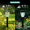 thumbnail image 4 of 8 Pack Solar Pathway Lights, Waterproof Auto On/Off Outdoor Solar Lights for Garden, Walkway and Lawn, Cold White, 4 of 7