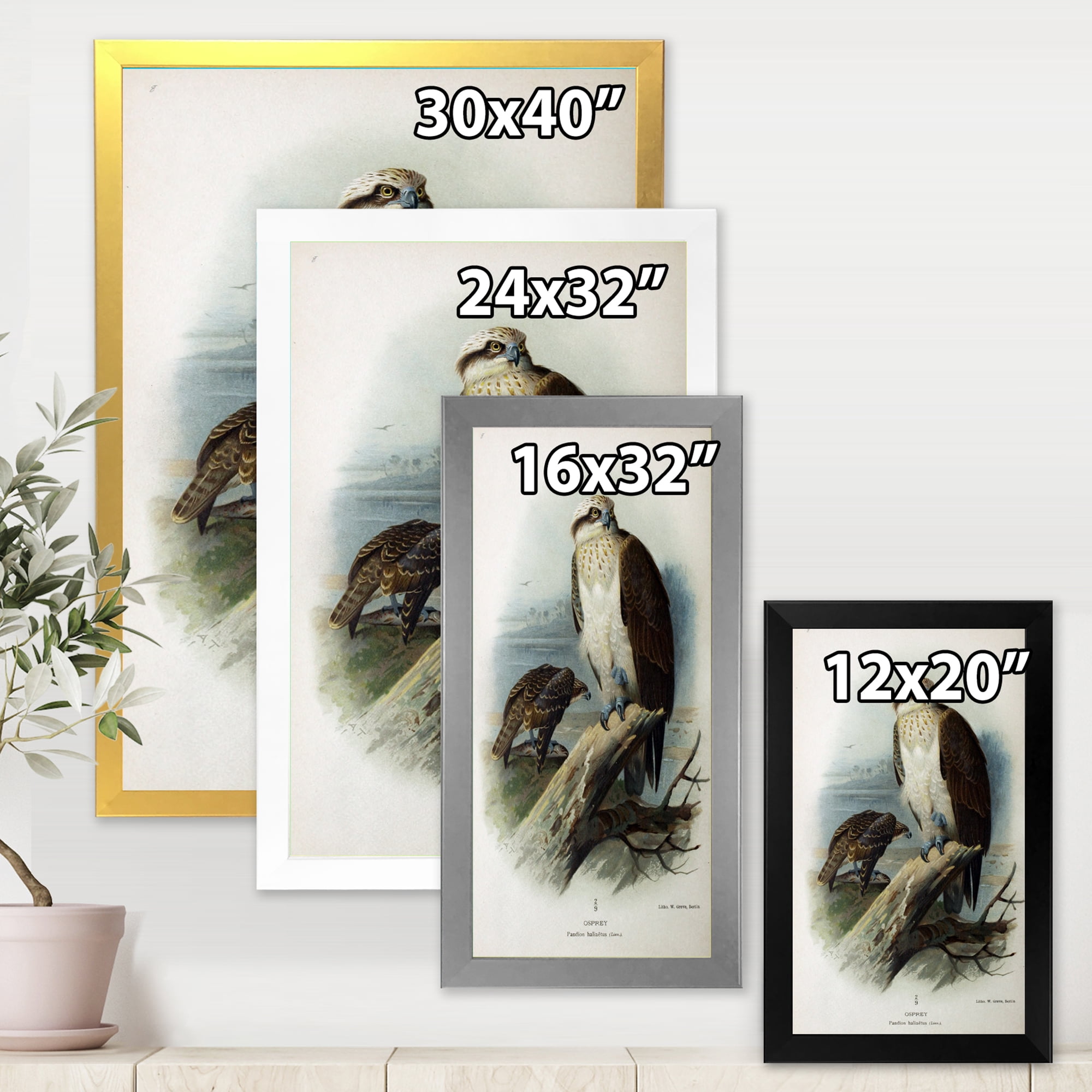 Designart 'Ancient Bird Life VI' Traditional Framed Art Print