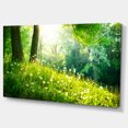 thumbnail image 2 of Beautiful Green Grass and Trees - Large Landscape Canvas Art Print, 2 of 3