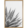 thumbnail image 3 of PixonSign Framed Canvas Print Wall Art Right Side of Zebra Plant Botanical Flower Photography Modern Art Contemporary Dramatic Dark Black and White for Living Room, Bedroom, Office - 16"x24" Natural, 3 of 5