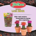 thumbnail image 4 of 14452 Volcanic Lava Rock, 2 Quarts, 4 of 5