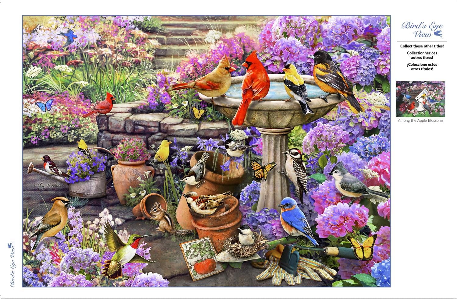 Buffalo Games Bird's Eye View Spring Clean Up 1000 Piece Jigsaw Puzzle