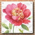 thumbnail image 3 of Epic Art 'Pink Garden II' by Lisa Audit, Acrylic Glass Wall Art, 36"x36", 3 of 7