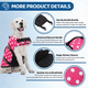 thumbnail image 3 of Chaleco salvavidas para perros, chaleco salvavidas ajustable para perros, salvavidas para mascotas con salvavidas para perros de alta flotabilidad Rojo Verde Cocina, Decoración y Otros, 3 of 5