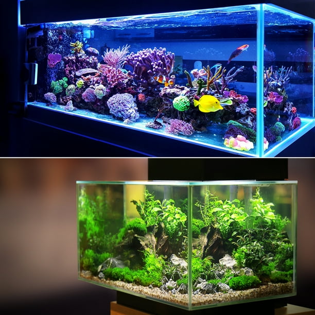 Cool aquarium clearance decorations