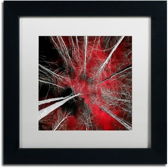 Trademark Fine Art "I Can't Believe It" Canvas Art by Philippe Sainte-Laudy White Matte, Black Frame