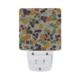 thumbnail image 7 of Colorful Fruit Chart LED Night Light with Smart Sensor Plug Into Wall Dusk to Dawn 2 packs, 7 of 7