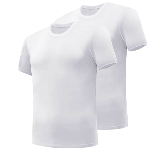 Wlynlyn 2 Pack Mens T-Shirts Short Sleeve Workout Shirts Crewneck Solid Color Athletic Undershirts Slim Fitted Soft Activewear