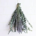 thumbnail image 3 of 12 Pcs Dried Preserved Eucalyptus Stems & Lavender Flowers Bundle for Shower, 17'' Hanging Eucalyptus Plant Leaves, Aromatic Self-Care Shower Plants, Home, Shower Decor, 3 of 8