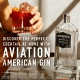 thumbnail image 4 of Aviation American Gin, 750 mL, 42% ABV, 4 of 6