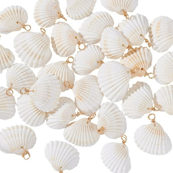 30pcs Natural Seashells Charms 1~1.2 inch White Shell Charms Ocean Sea Beach Seashells with Golden Loop Bail for Summer Jewelry Earrings Bracelets Neclaces Crafts Making Party Decoration