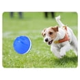 thumbnail image 3 of Billuyoard Bola intermitente para mascotas, para interior y exterior, dormitorio, jardín, patio trasero, bolas para buscar animales, juguete Suministros para perros, 3 of 6