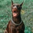 thumbnail image 4 of Collier Chaîne pour Chien Argenté - Acier Inoxydable, Ajustable, Résistant aux Morsures, Collier Chaîne Double Rangée pour Grands, Petits, Moyens Chiens, 4 of 5