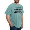 thumbnail image 4 of CafePress - I Cant Fix Stupid But I Can Sedate It T Shirt - Mens Comfort Colors Shirt, 4 of 5