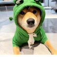 thumbnail image 5 of Autumn and Winter Cat Hooded Pet Jacket Warm Fleece Hoodie Dog Clothing Cartoon Frog Cosplay Costume Halloween Sweatshirt (Purple,2XL), 5 of 7