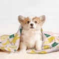 thumbnail image 4 of Yiaed Banana With Leaves Print Dog Blankets-Cat Blanket Washable for Couch Protection,Puppy Blanket, Soft Plush Reversible Throw Furniture Protector-Medium, 4 of 8