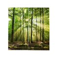 thumbnail image 1 of Forests Sunlight Printing Shading Curtains for Balcony Bedroom Drawing Room Window 150 * 166cm, 1 of 5