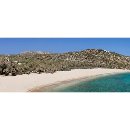 Beach and palm tree forest Vai Lasithi Eastern Crete Crete Greece Canvas Art - Panoramic Images (27 x 9)