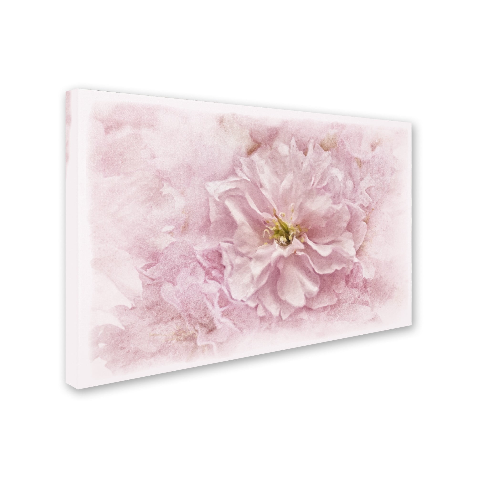 Trademark Fine Art 'Cherry Blossom' Canvas Art by Cora Niele