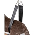 thumbnail image 5 of Groomer Essentials Stand Band - Small, 5 of 7