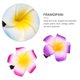 thumbnail image 2 of WORGEOUS 18 PCS PLUMERIA Centralo para el cabello de la flor de la playa CLIPS PEABLES (COLOR ALEATIVO), 2 of 9