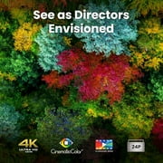 BenQ W4100i 4K Ultra HD HDR 4LED DLP Smart Home Theater Projector with AI