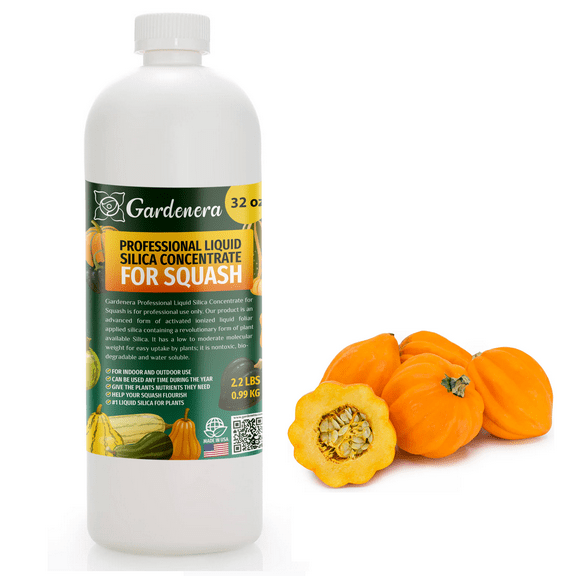 β ππππππππππ Liquid Silica Plant Supplement - 32oz - SQUASH Plants Liquid Silica Boost Fertilizer - Stronger Stems & Healthy Leaves for Indoor & Outdoor Squash Plants (Makes 180 Gallons)