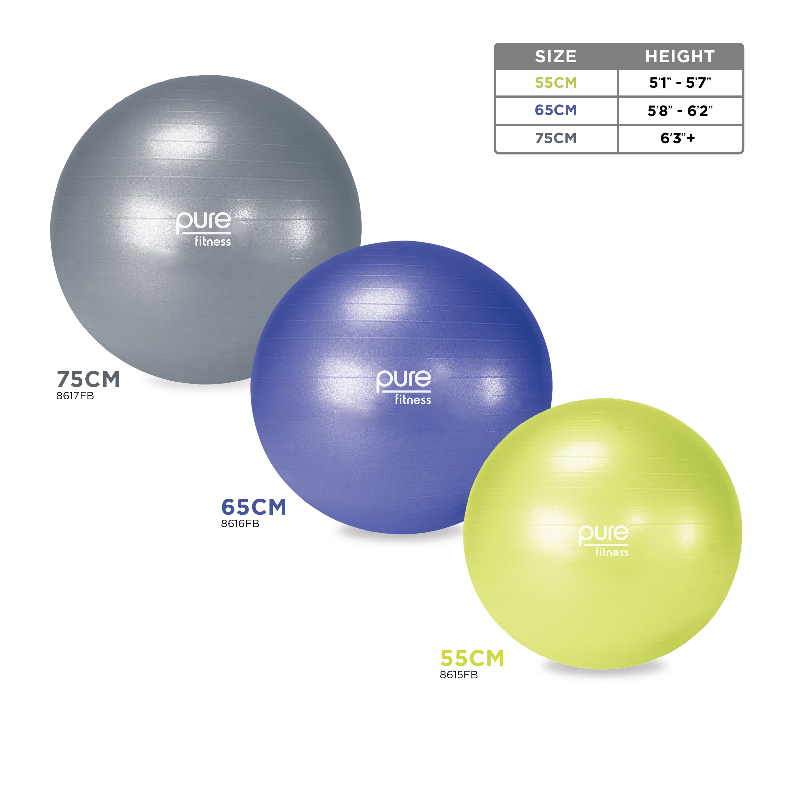 Pure Fitness 65cm Professional Exercise 