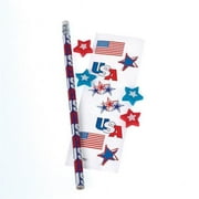 US Toy Company 1411 Patriotic Activity Packs - Pack of 12