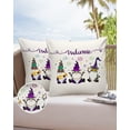 thumbnail image 6 of Pack of 2 Outdoor Pillow Covers, Happy Carnival Gnomes Waterproof Square Throw Pillowcase Cushion Decorative Pillow Covers for Couch Patio Tent, 18x18 in, 6 of 6