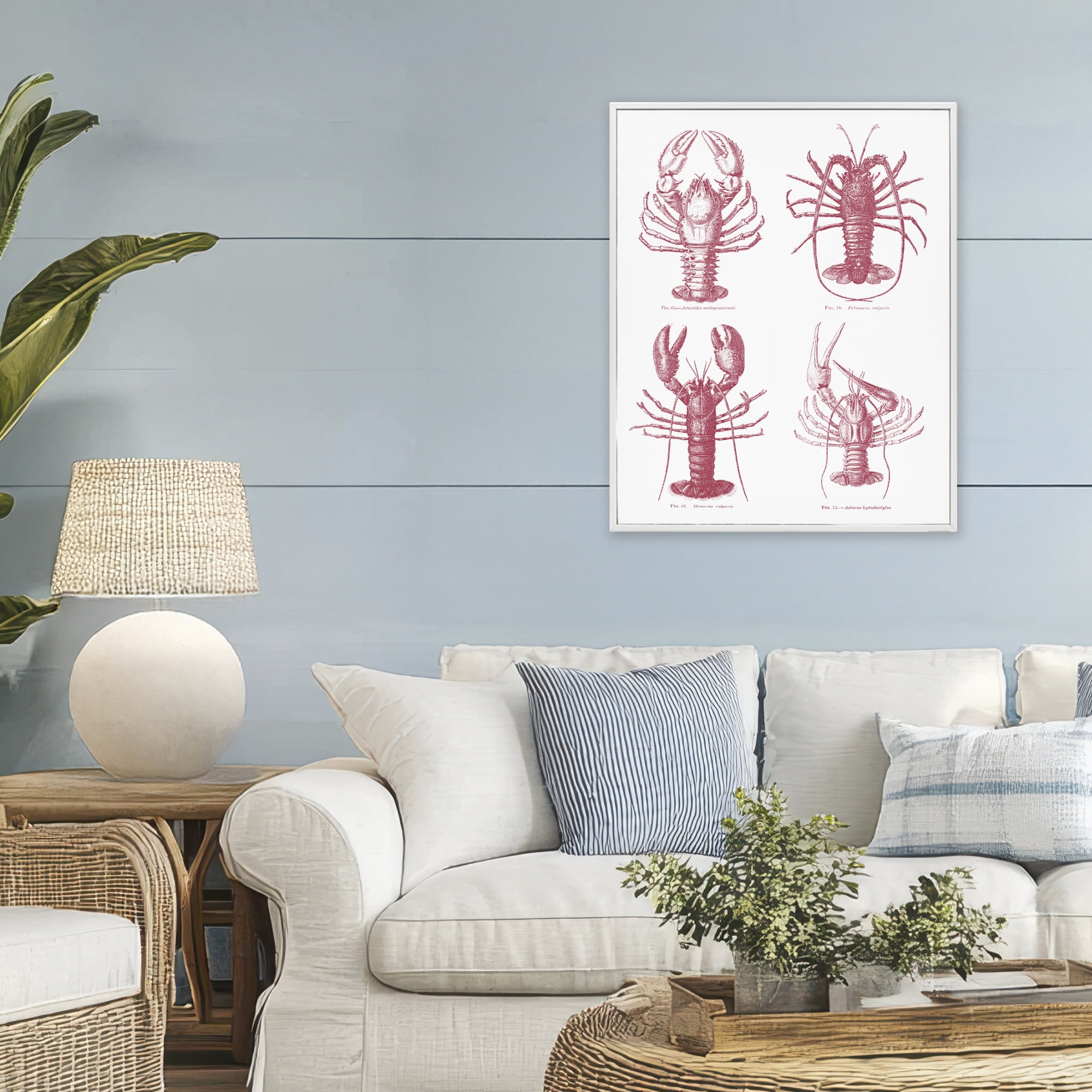 Timeless Lobsters Species White Framed Giclee Art, design by Lettered and Lined