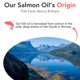 thumbnail image 5 of Suplemento de aceite de pescado Hofseth BioCare Brilliant Omega 3 1.18L, 5 of 9