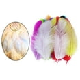 thumbnail image 3 of 2x 100 Piezas de Plumas de Pollo Naturales de 2-4 Pulgadas, Plumas para Manualidades para Decoraciones de Y Fabricación de Manualida Gloria Atrapasueños, 3 of 9