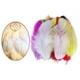 thumbnail image 3 of 100 Plumas de Gallina de Colores Brillantes para Manualidades Mezclado, 3 of 9
