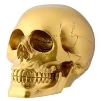 Pirate's Loot Gold Skull Statue Day Of The Dead Skull Head Gothic Resin Figurine